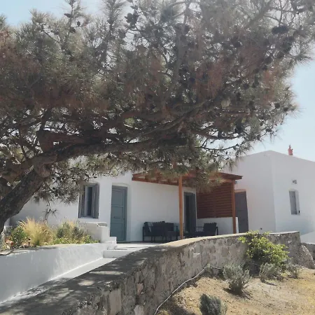 Haroto Τρυπητή